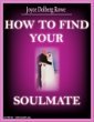 How to Find Your Soul Mate book cover